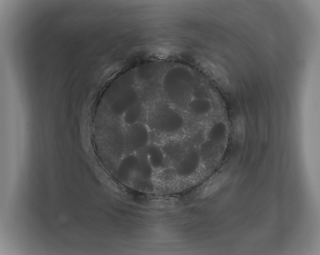 X0000111461105200908101049