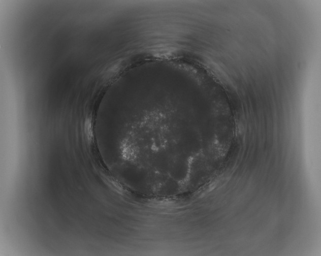 X0000111461106200908101049