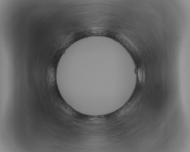 X0000111461107200908101049