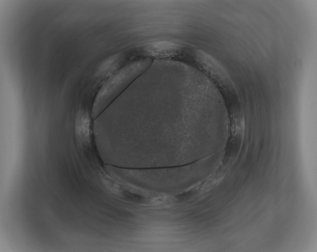 X0000111461108200908101049