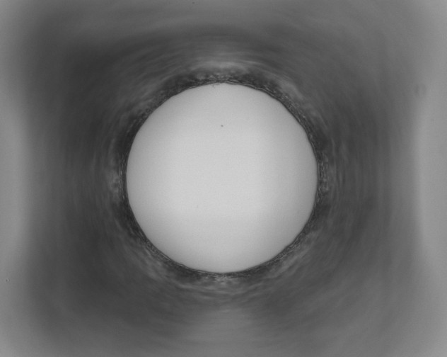 X0000111461109200908101049