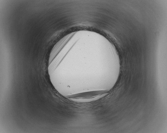 X0000111461110200908101049