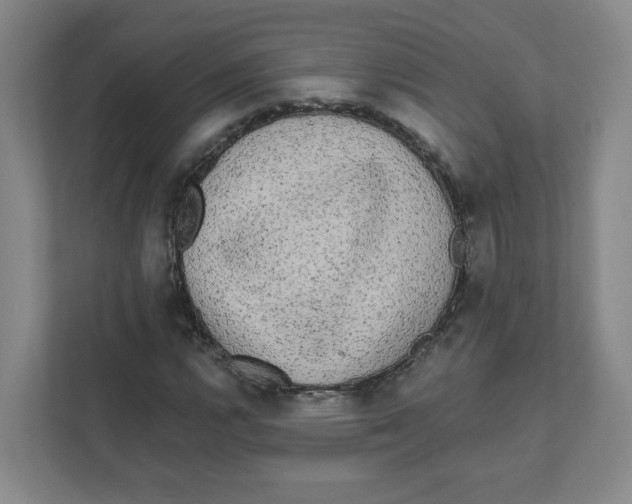 X0000111461112200908101049