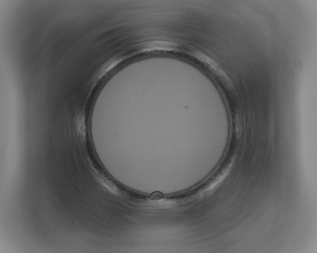 X0000111461113200908101049