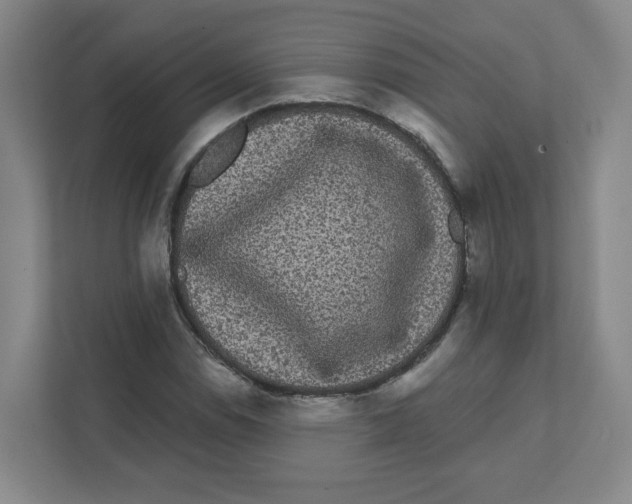 X0000111461114200908101049
