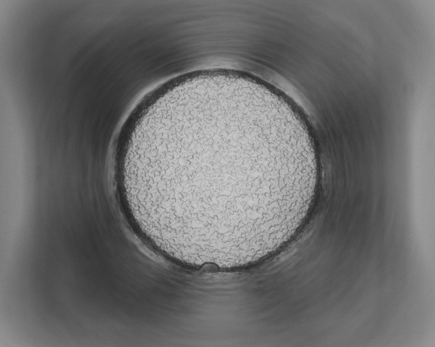 X0000111461116200908101049