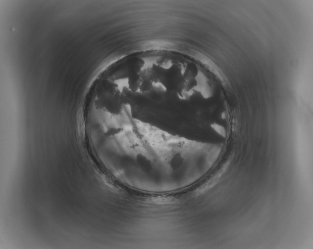 X0000111461117200908101049