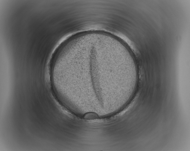 X0000111461118200908101049