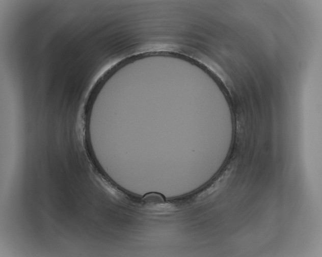 X0000111461119200908101049