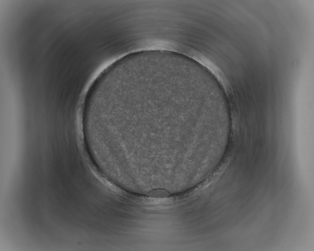 X0000111461120200908101049
