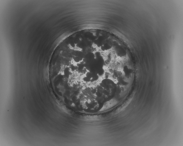 X0000111461121200908101049
