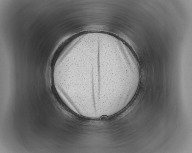 X0000111461123200908101049