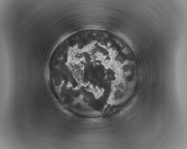 X0000111461125200908101049