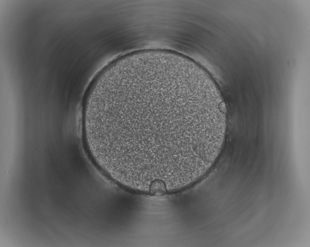 X0000111461126200908101049