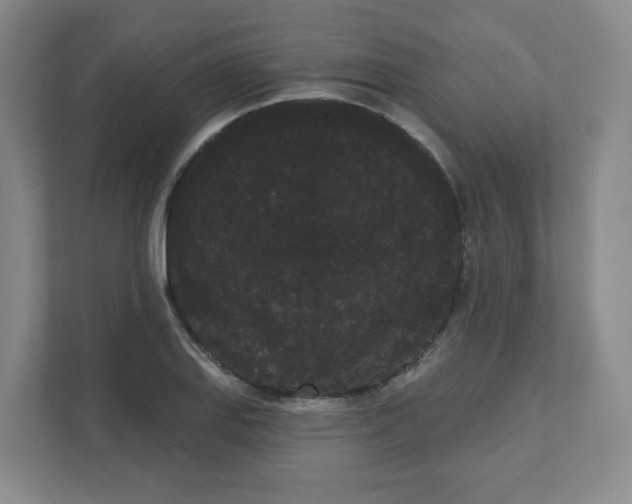 X0000111461127200908101049
