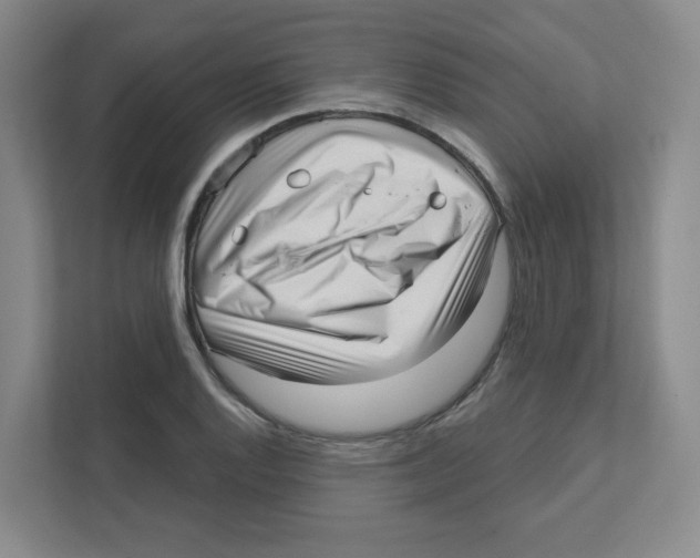 X0000111461128200908101049