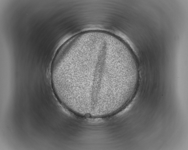 X0000111461129200908101049