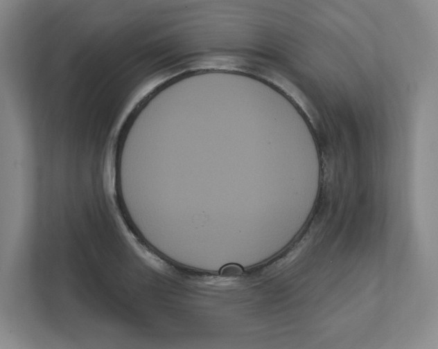 X0000111461131200908101049
