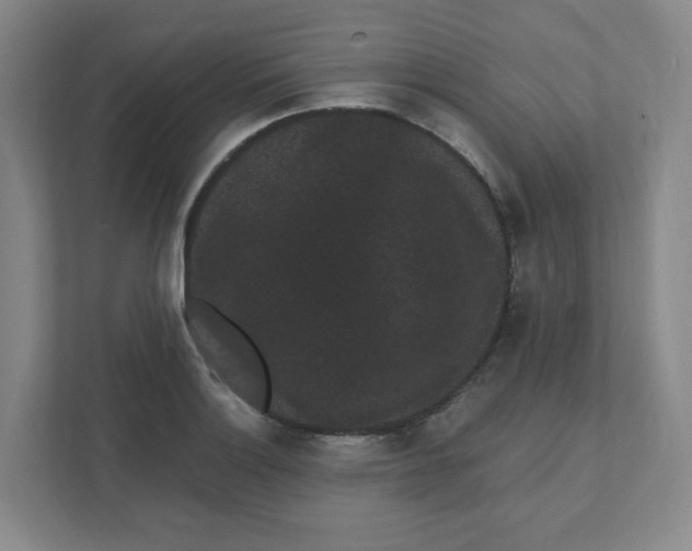X0000111461132200908101049