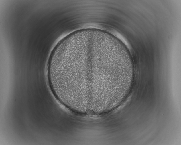 X0000111461133200908101049