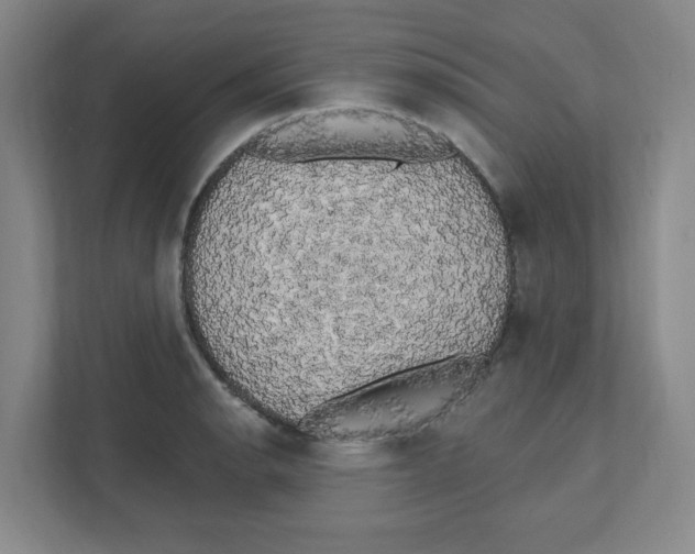 X0000111461134200908101049