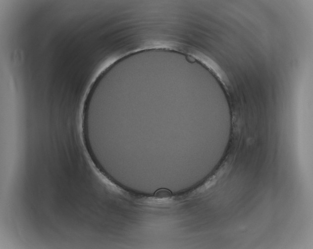 X0000111461135200908101049