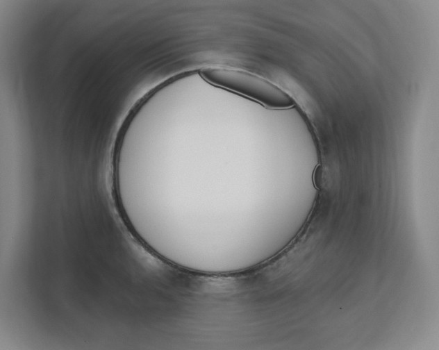 X0000111461136200908101049
