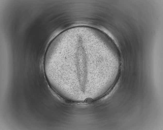 X0000111461137200908101049
