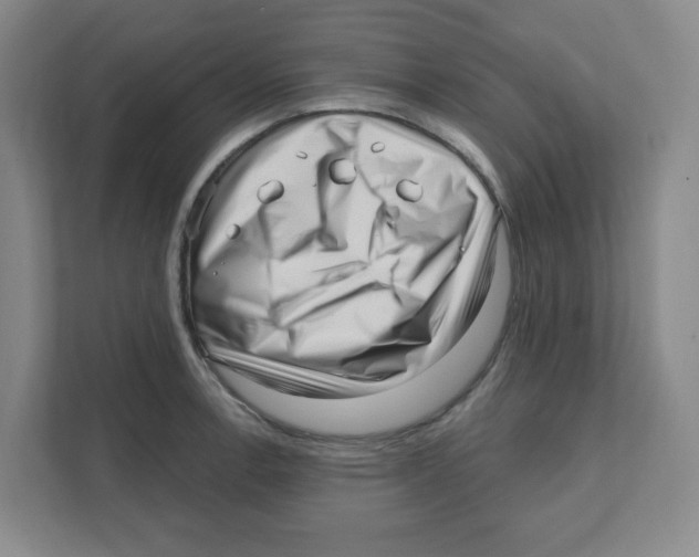 X0000111461138200908101049