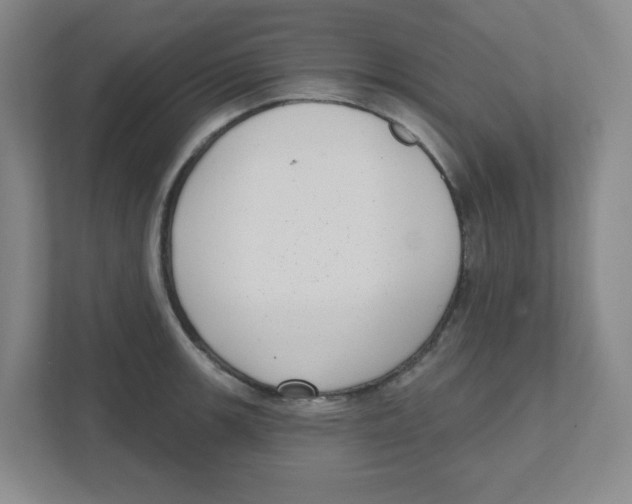 X0000111461139200908101049