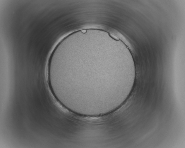X0000111461140200908101049