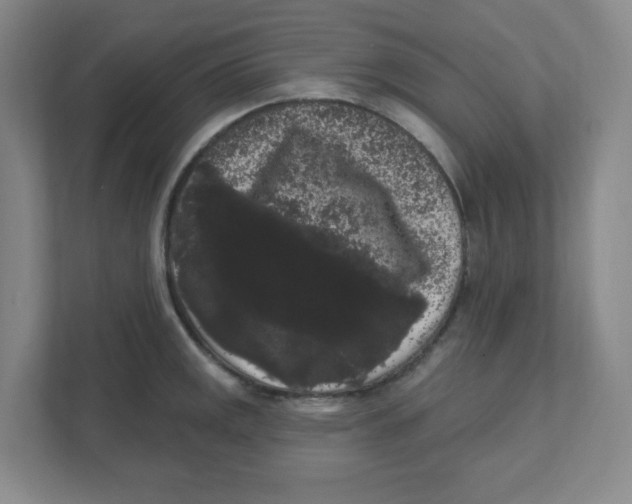 X0000111461141200908101049