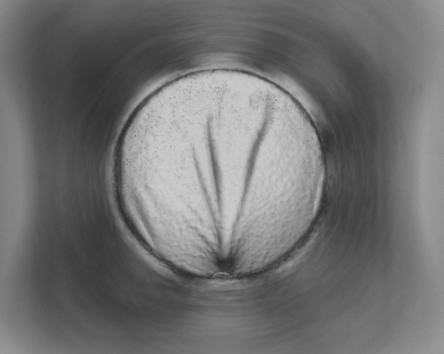 X0000111461142200908101049