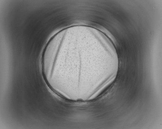 X0000111461143200908101049