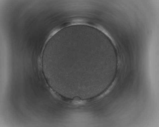 X0000111461145200908101049