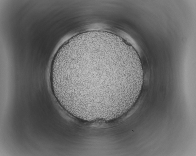 X0000111461146200908101049