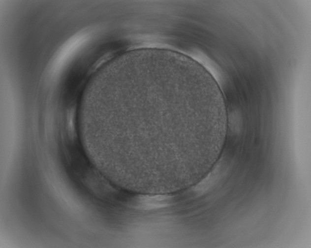X0000111461150200908101049