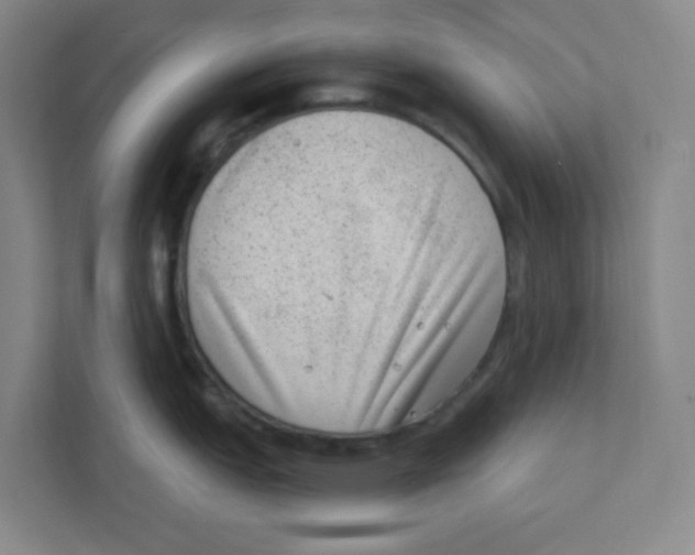 X0000111461151200908101049