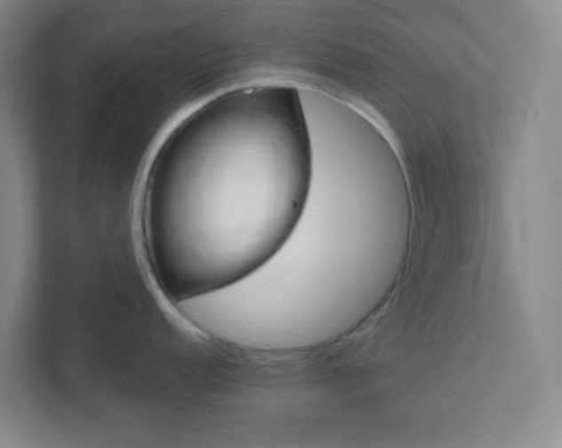 X0000111461152200908101049
