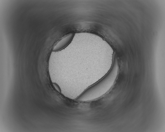 X0000111461153200908101049