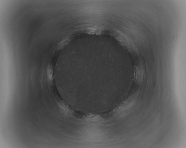 X0000111461154200908101049