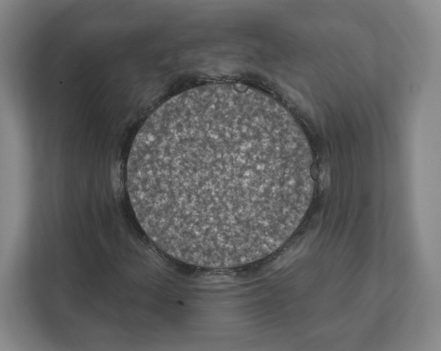 X0000111461156200908101049
