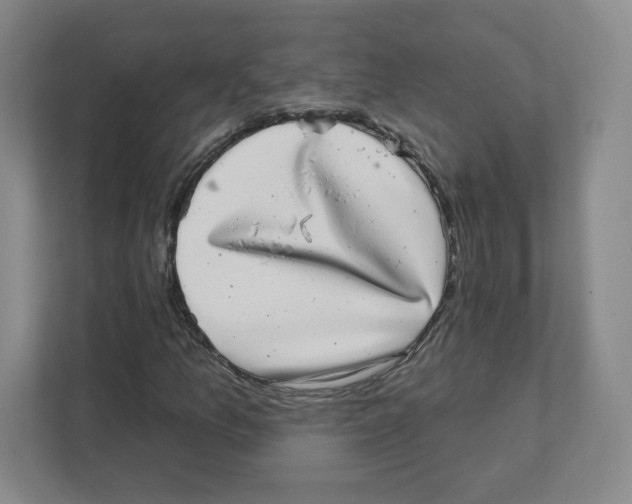 X0000111461157200908101049