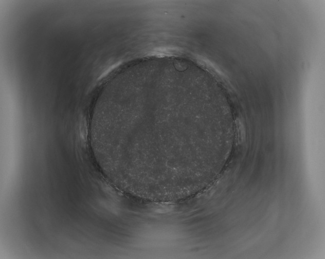 X0000111461158200908101049