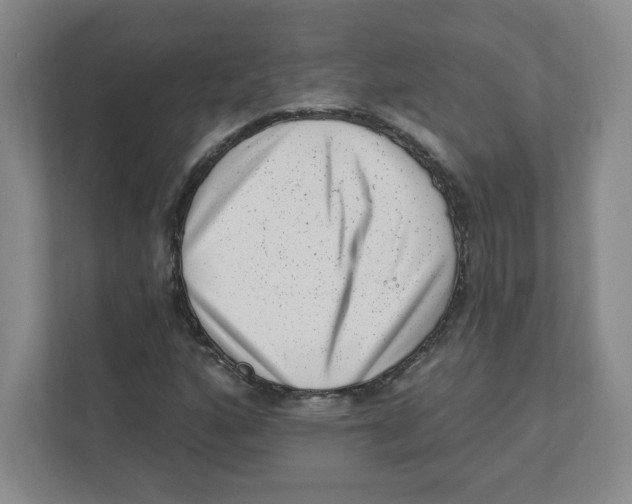 X0000111461160200908101049