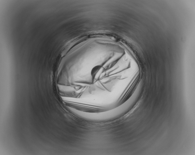 X0000111461161200908101049
