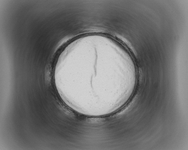 X0000111461163200908101049
