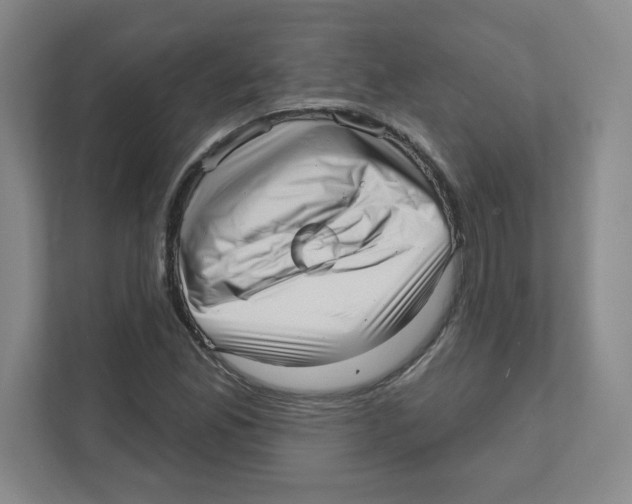 X0000111461165200908101049