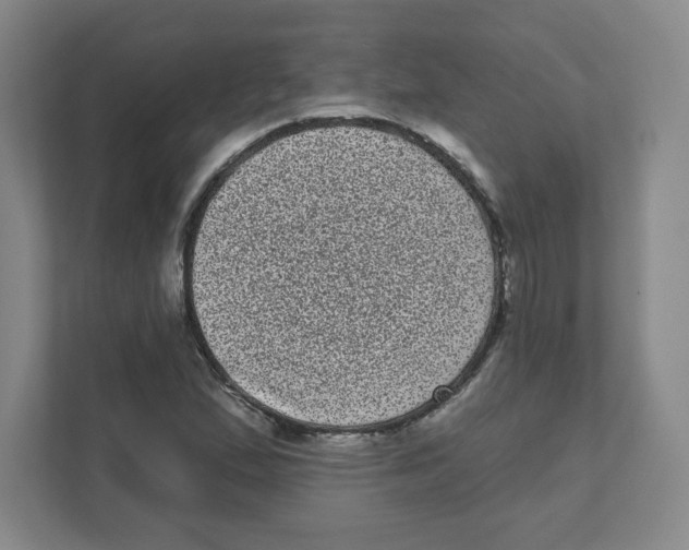 X0000111461167200908101049