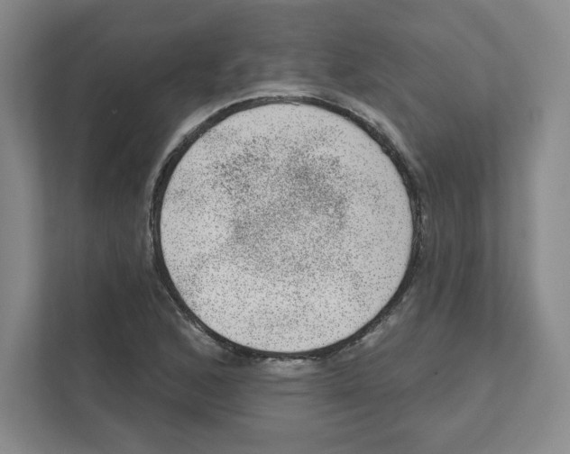 X0000111461168200908101049